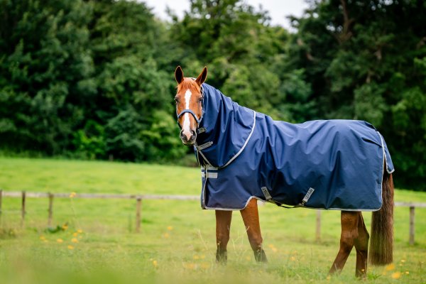 Övergångstäcke Amigo Ripstop 900D Plus 100g Turnout Horseware