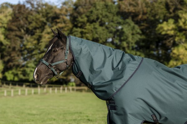 Övergångstäcke Amigo Ripstorp 900D Pony Plus Hoprseware