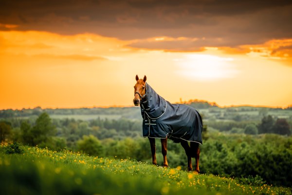 Regntäcke Amigo Ripstop 900D Pony Plus Horseware