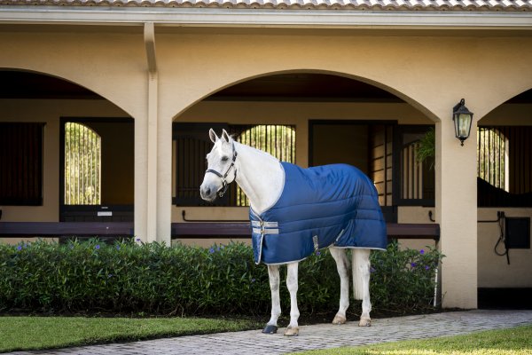 Stalltäcke Amigo Ripstop Insulator Stable 100g Horseware