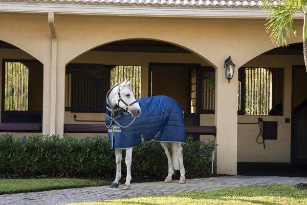 Stalltäcke Amigo Insulator Plus 200g Horseware