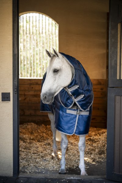 Stalltäcke Amigo Insulator Plus 200g Horseware