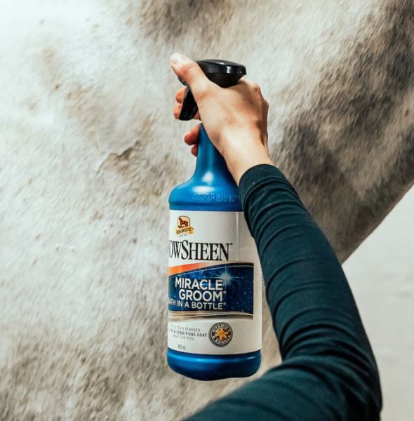 Torrschampo Miracle Groom 946 ml Absorbine