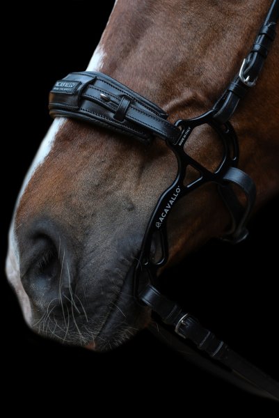 Lädernosgrimma Hackamore Acavallo