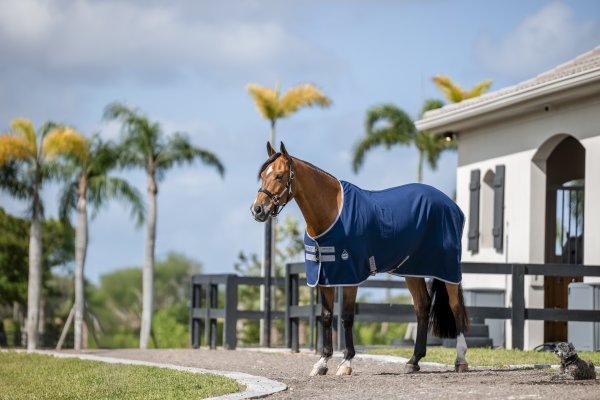 Sommartäcke Amigo Stable Sheet Navy & Silver Horseware