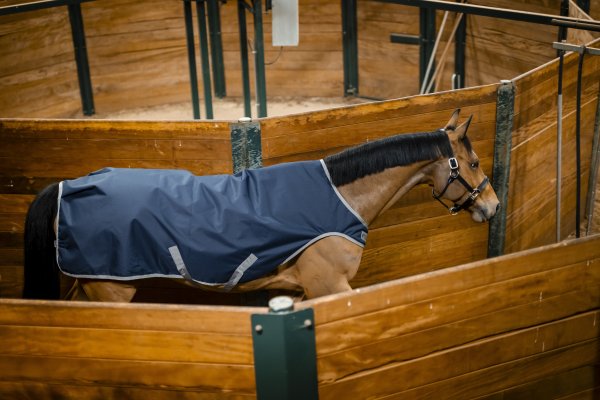 Walkertäcke Amigo 100g Horseware