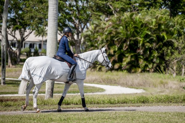 Ridflugtäcke Fly Rider Amigo Horseware
