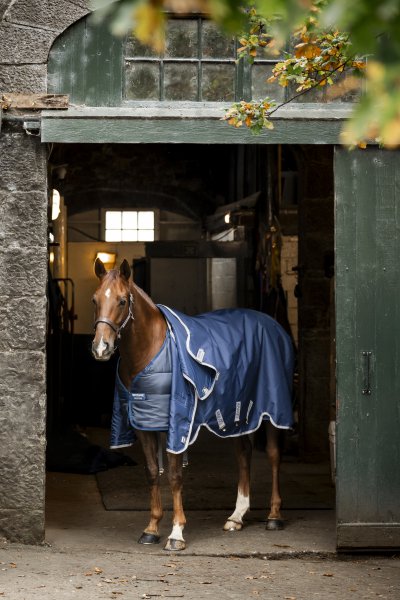 Liner 50 g Horseware