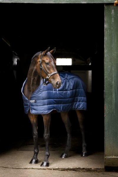 Liner 100 g Horseware