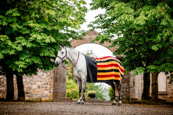 Filt Newmarket Fleece Horseware