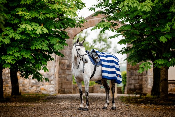 Filt Newmarket Fleece Horseware