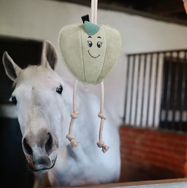 Hästleksak Äpple Hansbo Sport