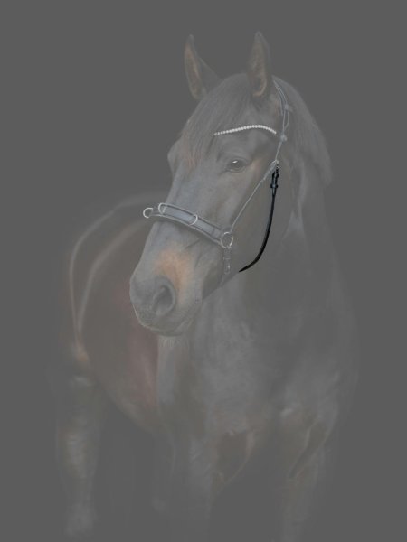 Käkrem med spänne Gentle Catago