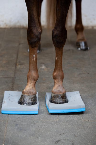 Balanspaddar 2-Pack Horse Guard