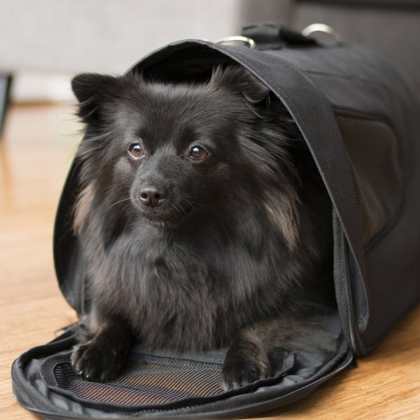 Bärväska Snobben Svart Dogman