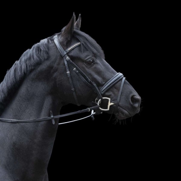 Bridongbett 3-delat D-ring Novocontact Sensogan