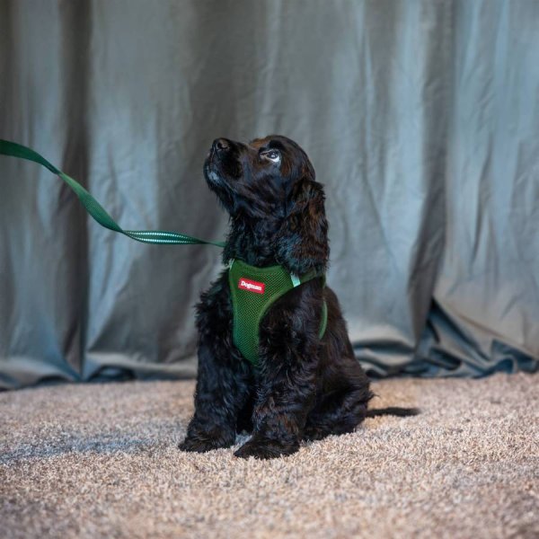 Hundsele Air Mesh Step-in Dogman