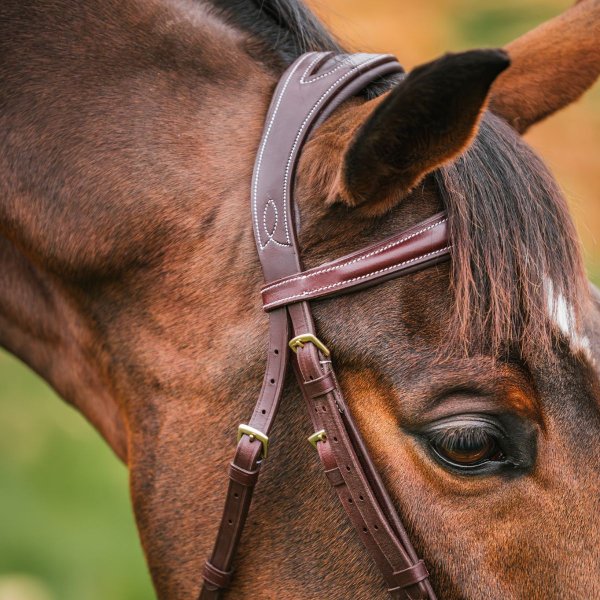 Träns Anatomiskt Combo Nosgrimma GPC Haglunds