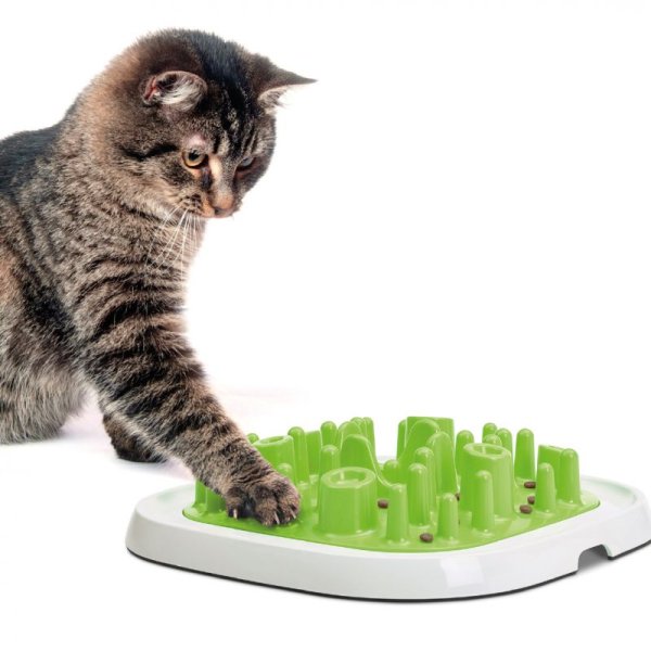 Pet Enigma Pussel Nr. 20