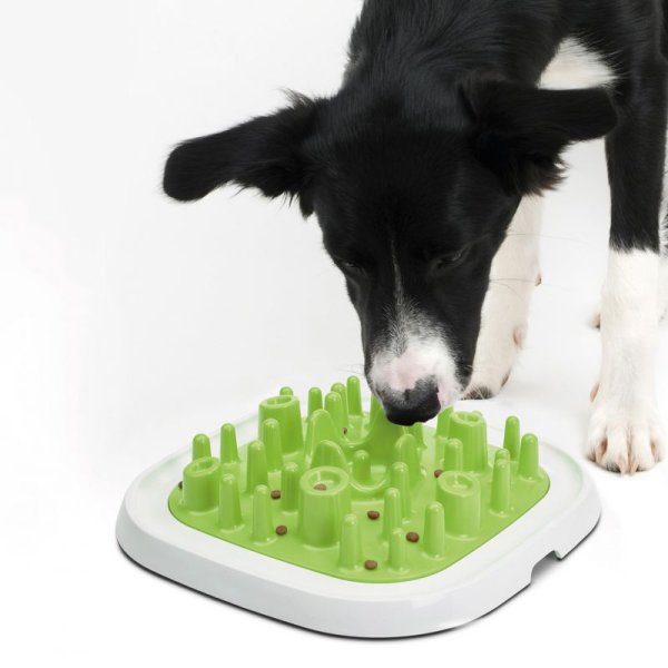 Pet Enigma Pussel Nr. 20