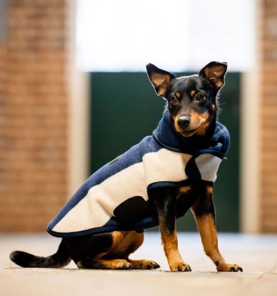 Hundtäcke Signature Dog Fleece Horseware
