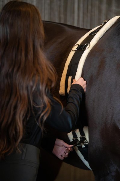 Longeringsgjord Teddy Horse Guard