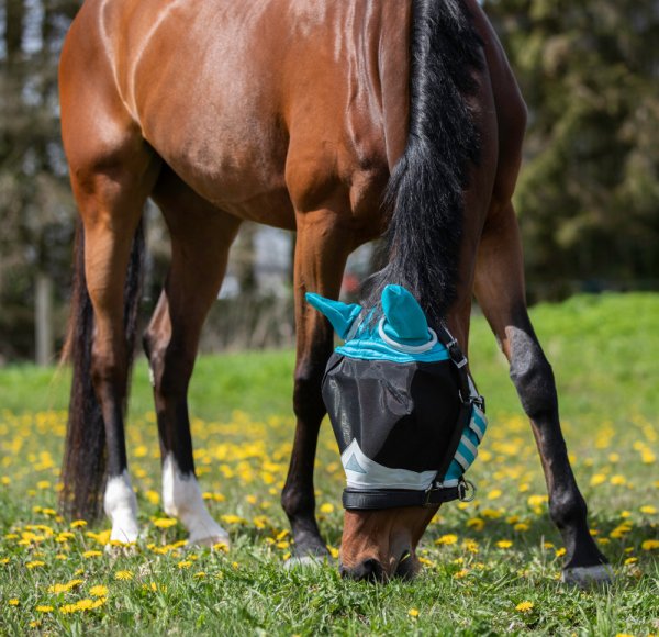 Flughuva Fine Mesh m Öron Shires