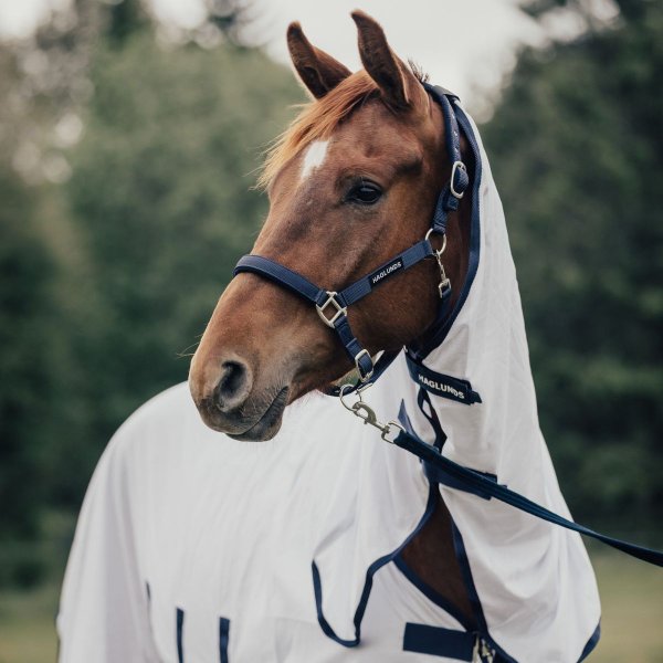 Flugtäcke All-in-one New Basic 2.0 Haglunds