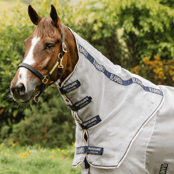 Flugtäcke Rambo Protector Horseware