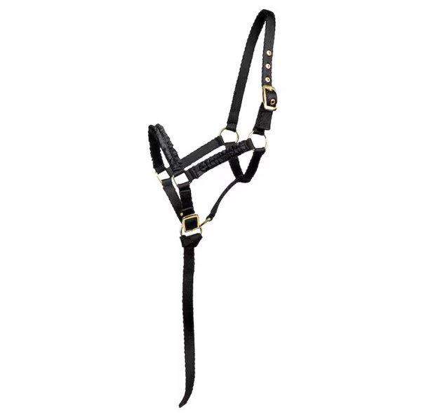 Fölgrimma Ofodrad Hansbo Sport