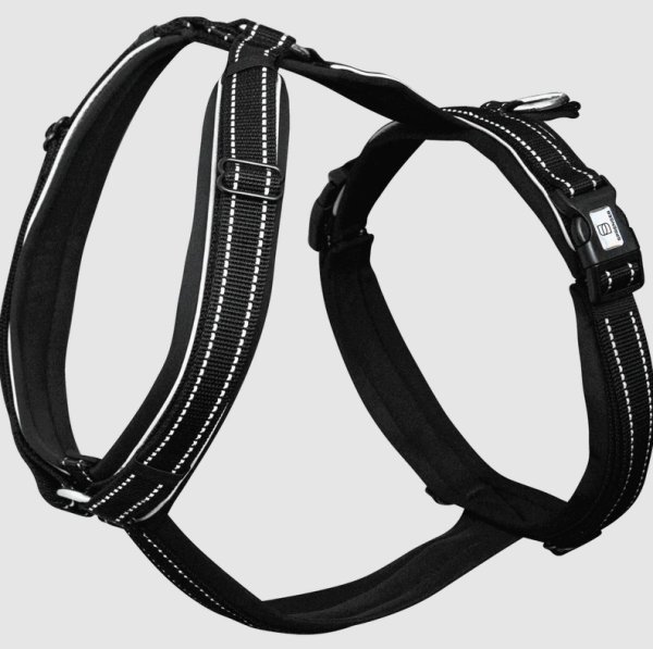 Fölsele Foal harness Sprenger