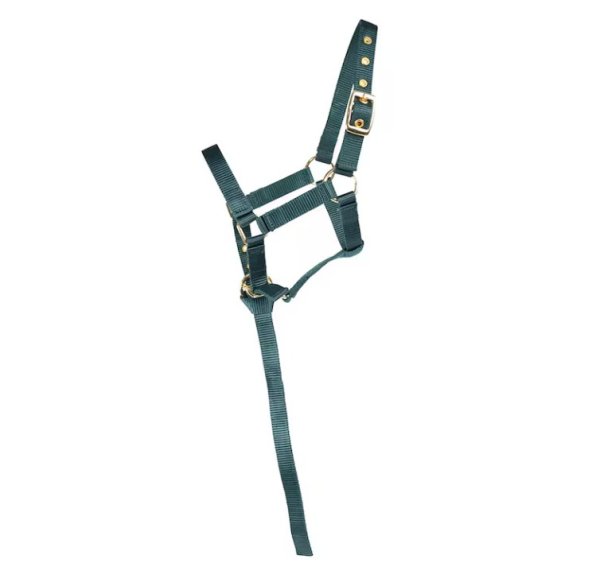 Fölgrimma Basic Hansbo Sport