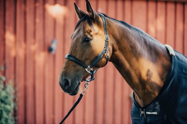 Sommartäcke SS24 Haglunds