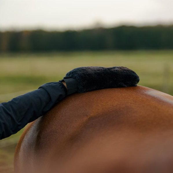 Groominghandske Faux Fur Hansbo Sport