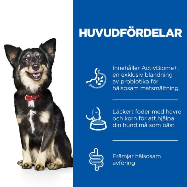 Hundfoder Perfect Digestion Small & Mini Hill's