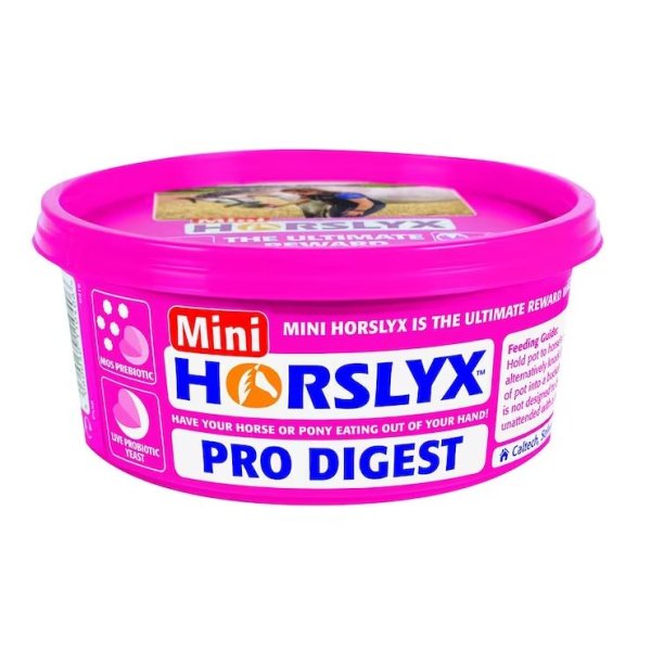 Slicksten Horslyx 650 g
