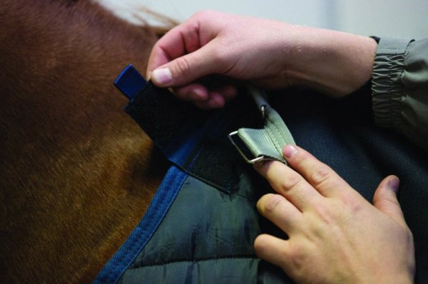 Liner 100 g Horseware