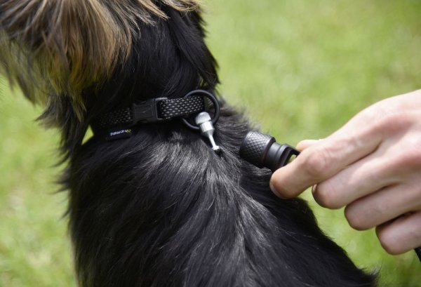 Hundkoppel Guide Leash GoLeyGo 2.0 Flat Kerbl