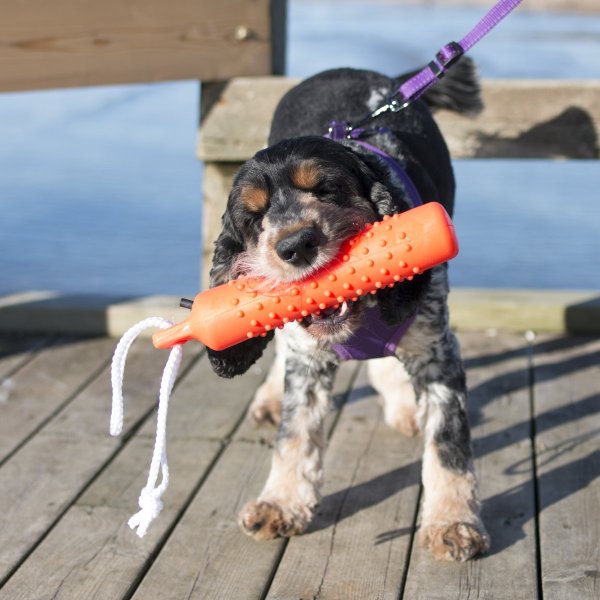 Hundleksak Gummidummie Dogman