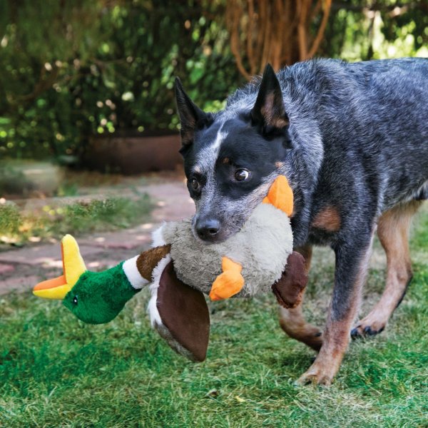 Hundleksak Shakers Honkers Duck Kong
