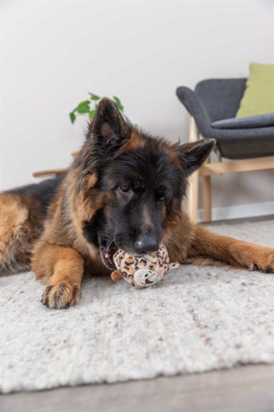 Hundleksak Leopardboll Trixie