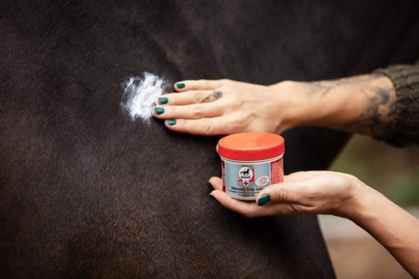 Silversalva 150 ml Leovet