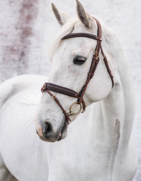 Träns London Jacson