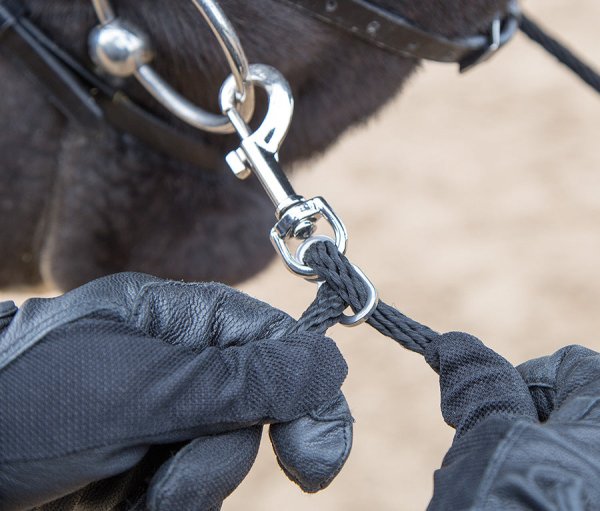 Longerhjälp Soft Lunging Aid Shires