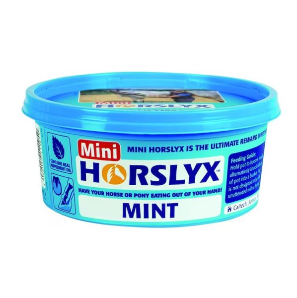 Slicksten Horslyx 650 g