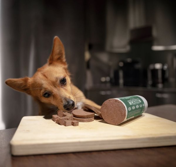 Hundfoder Dog Sausage Deer Monster