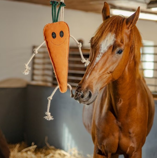 Hästleksak Morot i Mocka Hansbo Sport