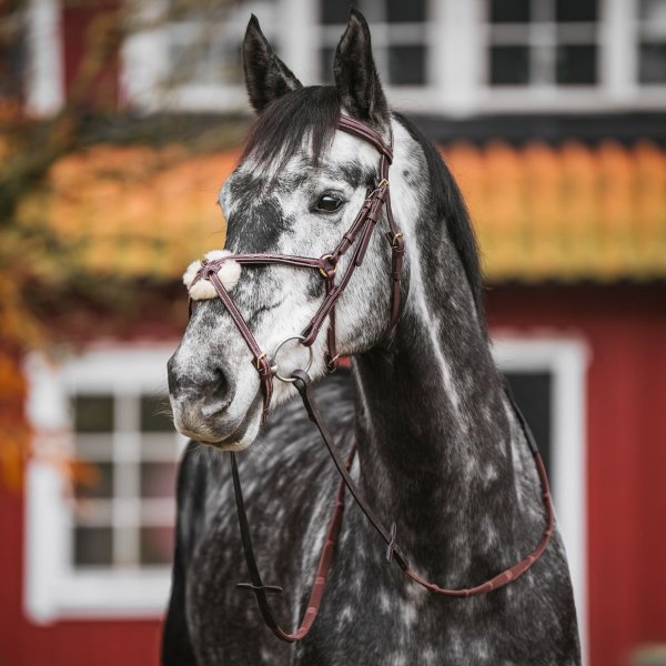 Pullarträns GPC Haglunds