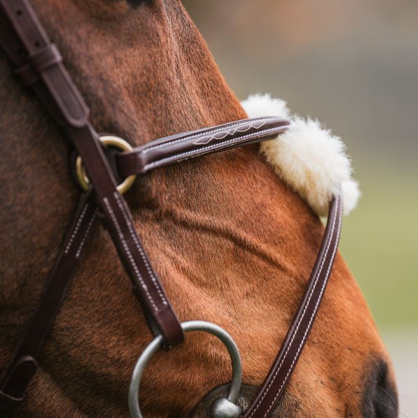 Pullarträns GPC Haglunds