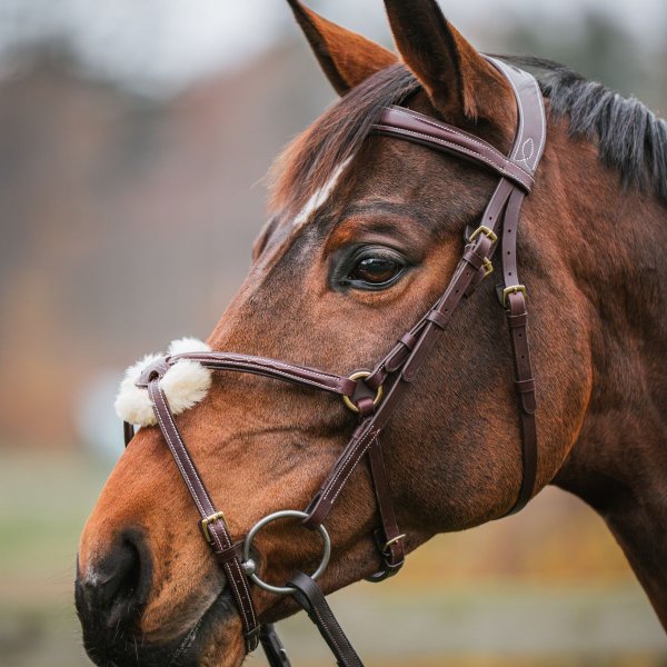 Pullarträns GPC Haglunds